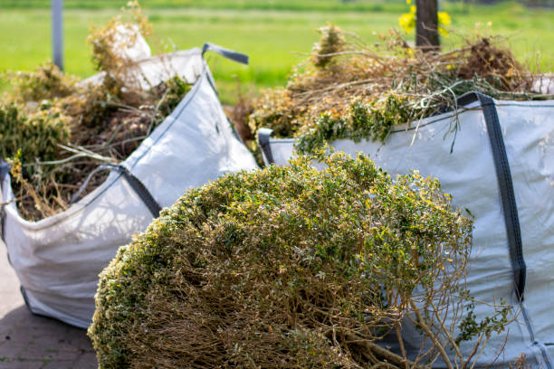 Best Garage Cleanout  in Wheaton, MN